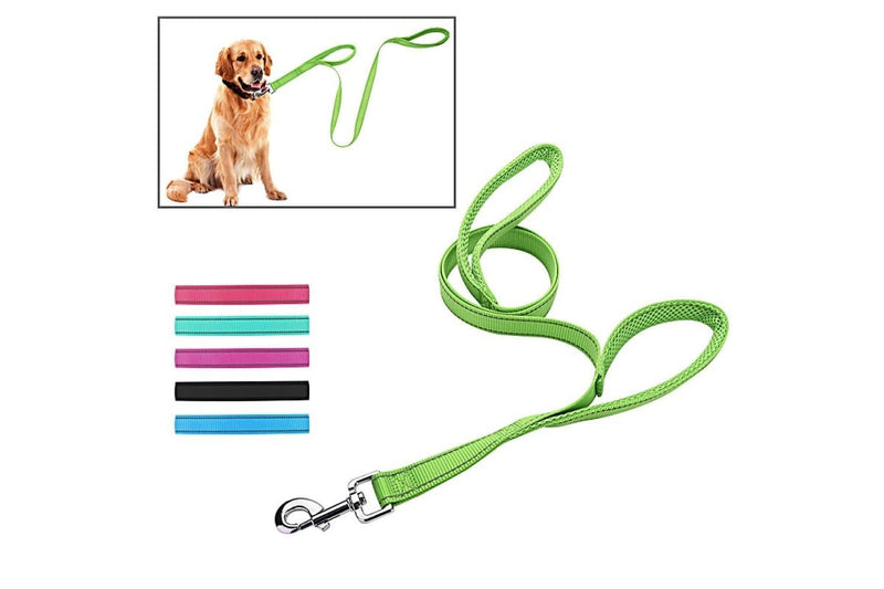 Double Handle Design Nylon Reflective Dog Leash