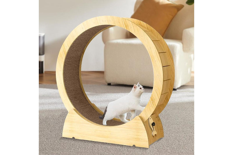 Cat Exercise Wheel