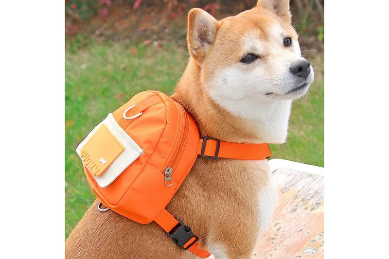 Dog Backpack Harness with D-Ring - Orange