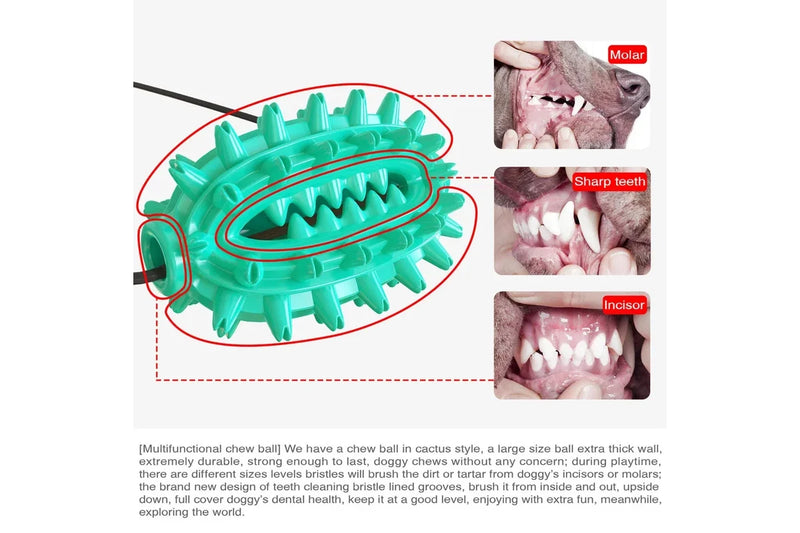 Dog Molar Bite Toy Multifunction Pet Chew Toys Upgraded Double Suction Cup Dog Pull Ball (Color:Green)