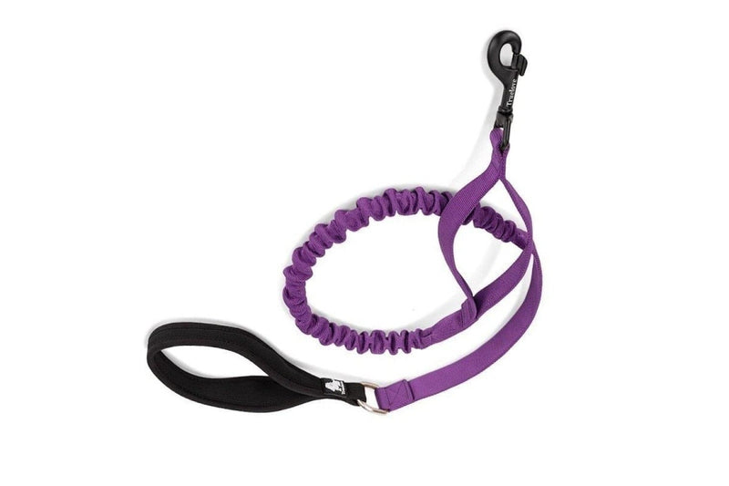 Cushioning Flexible Leash With Elastic Rope Control Large Fiercely