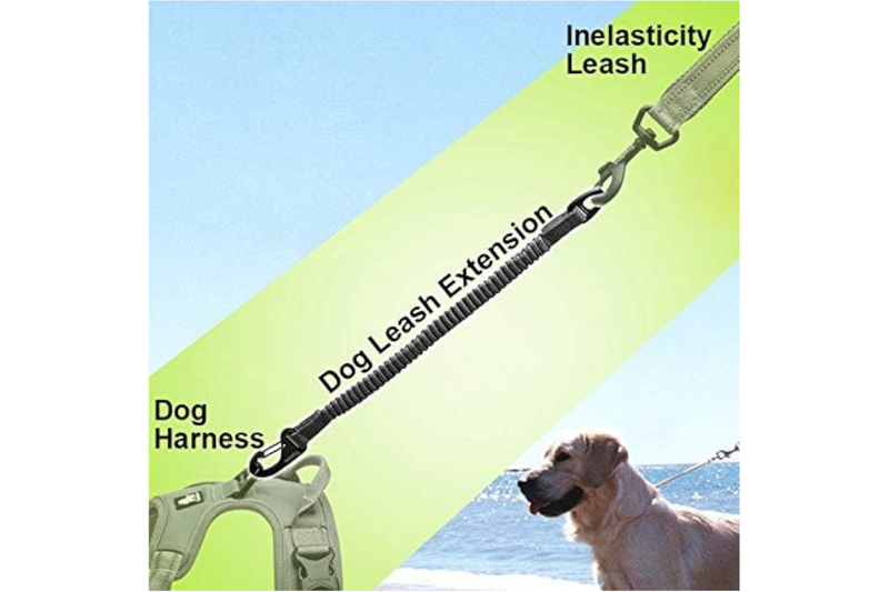 Bungee Extension For Leash Neon Yellow M -