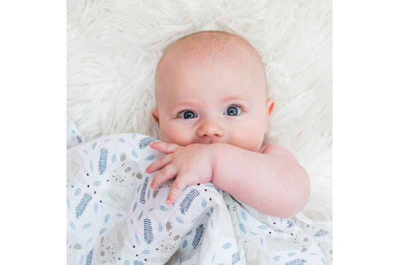 Lulujo: Muslin Cotton Swaddle - Koala