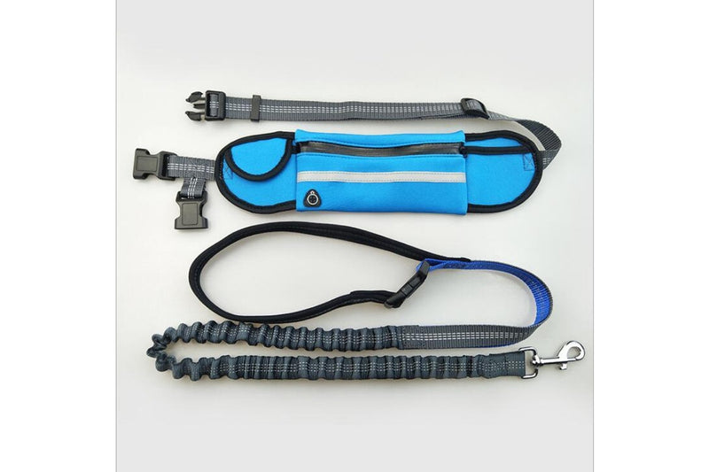 Shock Absorbing Bungee Hands Free Dog Running Leash With Waist Pocket - Blue