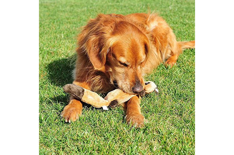 Zippy Paws Zingy Skunk No Stuffing Durable Squeaky Plush Dog Toy - One Size