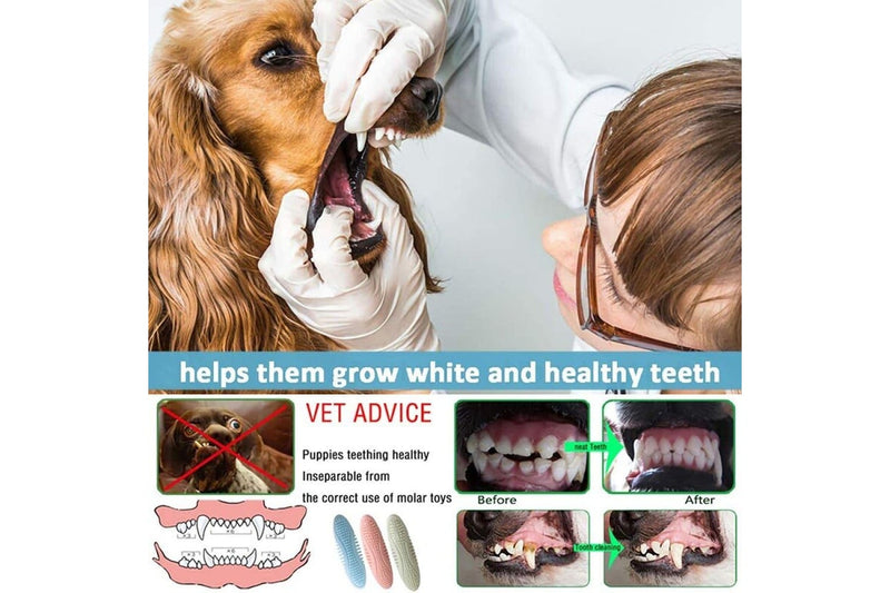 Durable Flexible Safe Food Dispensing Puppy Chew Toy For Pets Teeth Cleaning