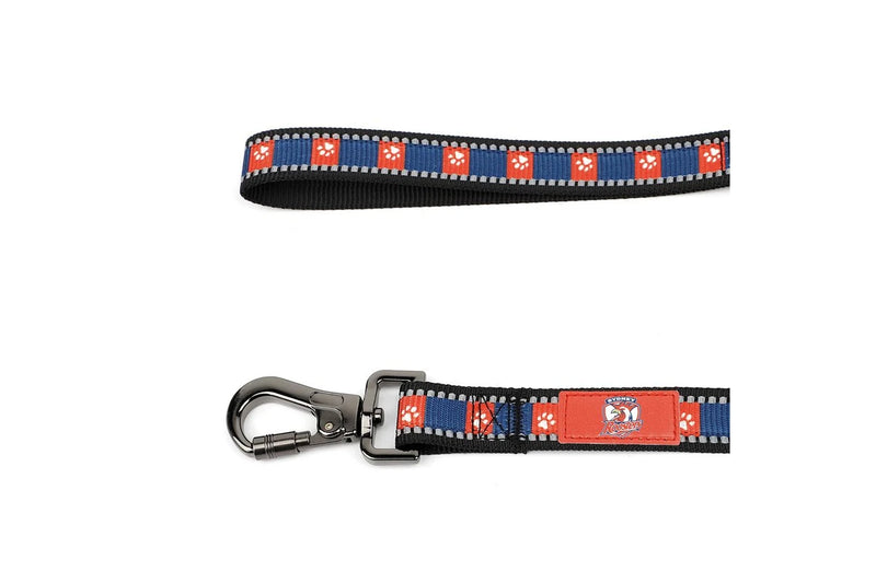 NRL Sydney Roosters Pet Dog Reflective Collar Walking 120cm Leash Lead Set