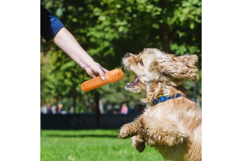 Non-toxic Rubber Teeth Cleaning Alpaca Shaped Chew Stick Toy For Medium Small Dog