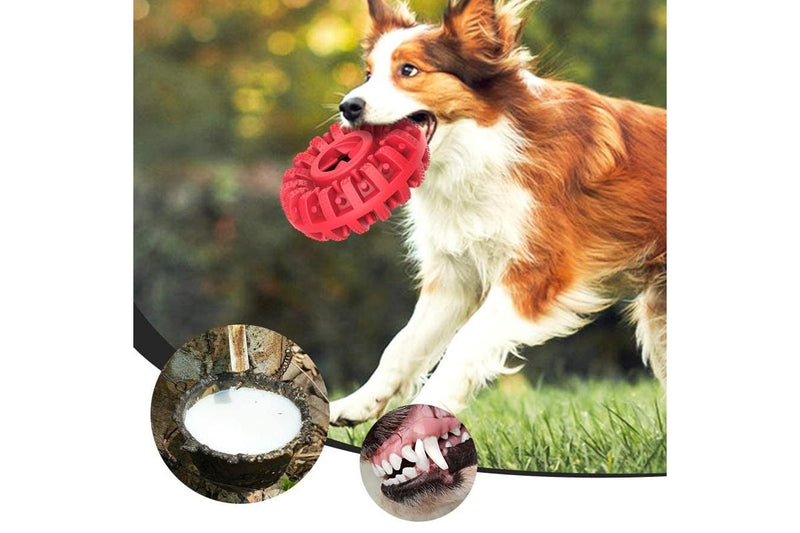 Pet Treat Dispenser Chew Toy - Red