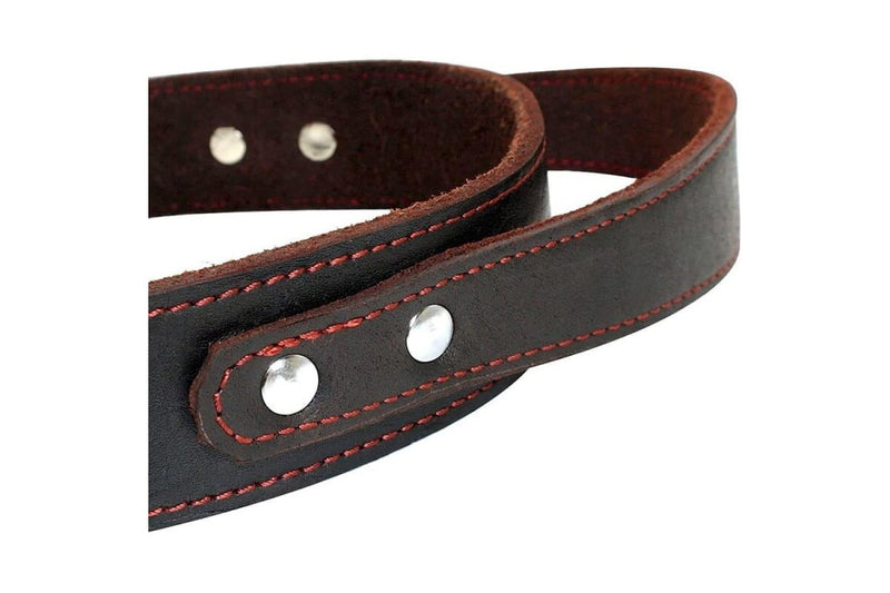 Durable Heavy Duty Leather Control Collar For Medium Large Dogs