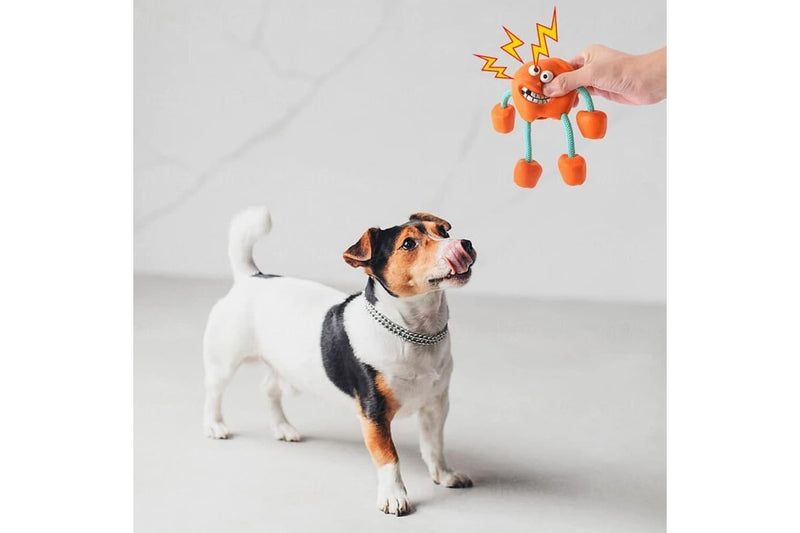 Non-toxic Rubber Squeaky Treat Dispensing Dog Chew Toys For Puppies Small Medium Dogs