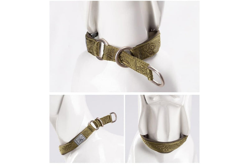 P-chain Nylon Pet Collar