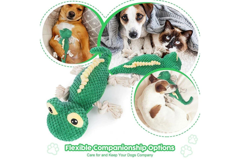 Plush Lizards Dog Toys Squeaky Safe And Fun