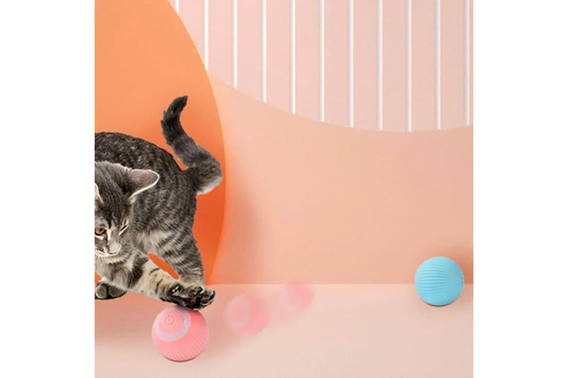 Smart Usb Rechargeable Cat Toy Ball