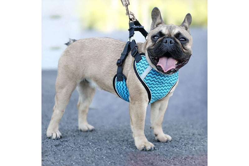 Stripe Printing Design Breathable Reflective Harness With Leash