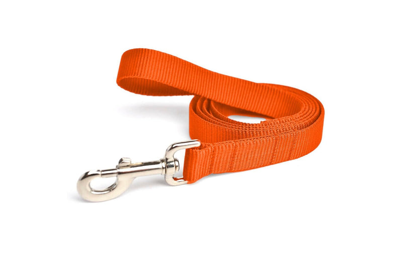 Plain Nylon Dog Leash Lead Training Obedience Recall Walk - Assorted Colours - Small (1.5cm Width/1.2m Long)