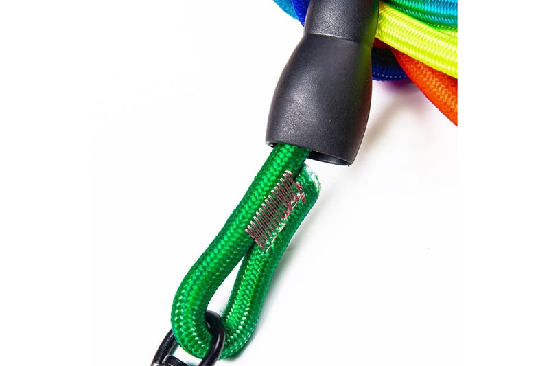 Rainbow Colour Dog Leash With Comfortable Handle