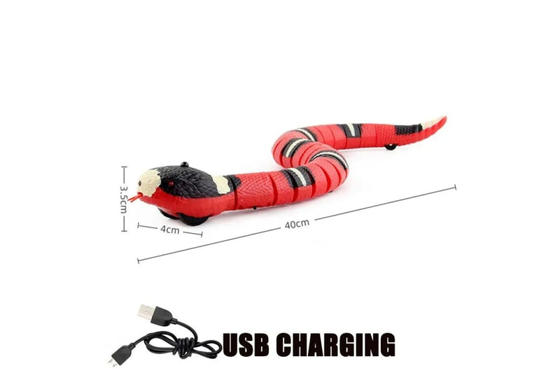 Interactive Smart Cat Toy With Usb Rechargeable Snake Teaser