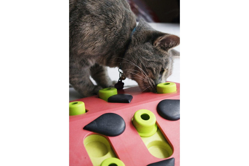 Petstages: Nina Ottosson - Melon Madness Puzzle & Play - Cat Game