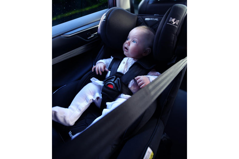 Infasecure: Momentum More ISOFIX 0 To 4 Years (2013) - Dusk