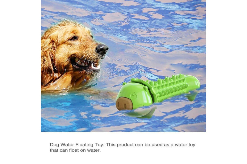 Durable Nontoxic Rubber Floatable Food Dispensing Dog Chew Toy Improves Iq