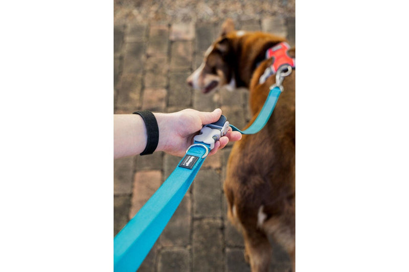 Dog Lead By Red Dingo Blue