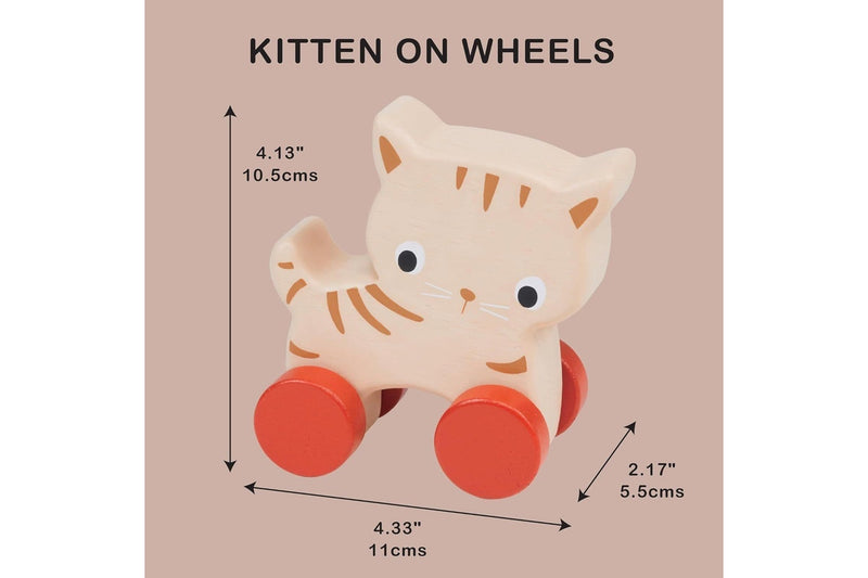 Mentari: Kitten On Wheels