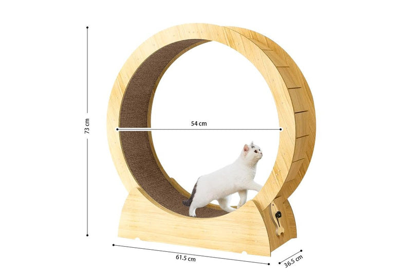 Cat Exercise Wheel