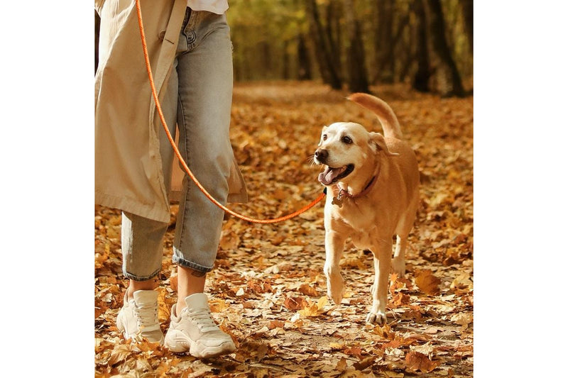 ZOOMIES 1.5M Reflective Threads Dog Leash with Padded Handle - Orange