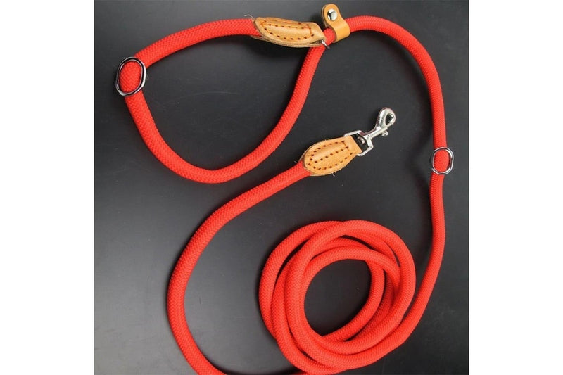 Multifunctional Dog Leash With p Shape Collar