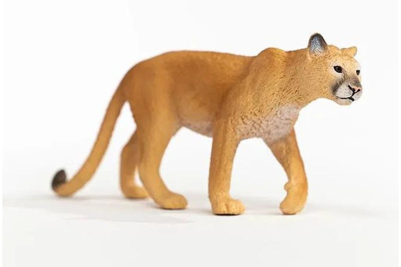 Schleich - Cougar