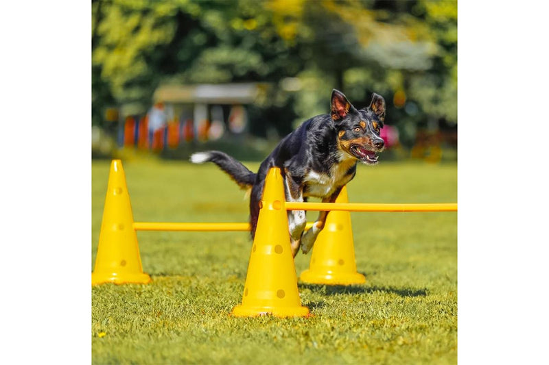 ZOOMIES Dog Agility Hurdle Cone Set - Yellow