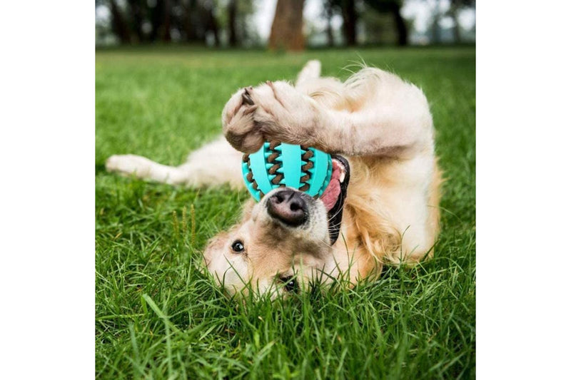 Pet Treat Dispenser Ball - Blue (7cm)