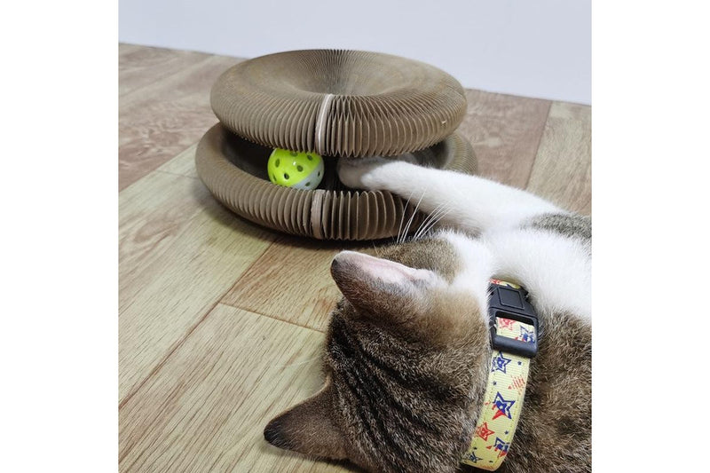 Magic Organ Cat Scratching Board Toy With Bell - One Size - Set Of 1