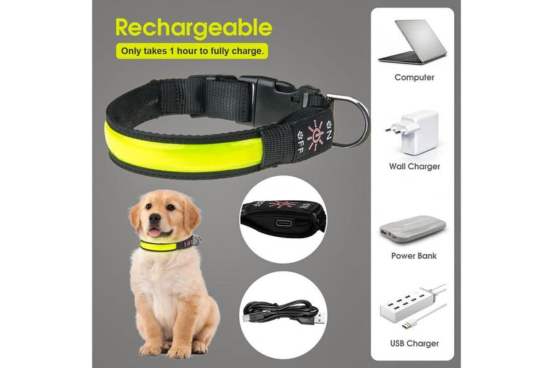 LED Dog Cat Collar USB Rechargeable Nylon Glow Flashing Light Up Safety Puppy