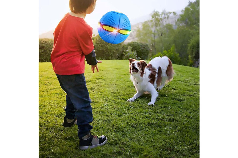 Pet Toy Flying Saucer Ball Dog Toy Pet Flying Saucer Ball (Color:Green-6Light)