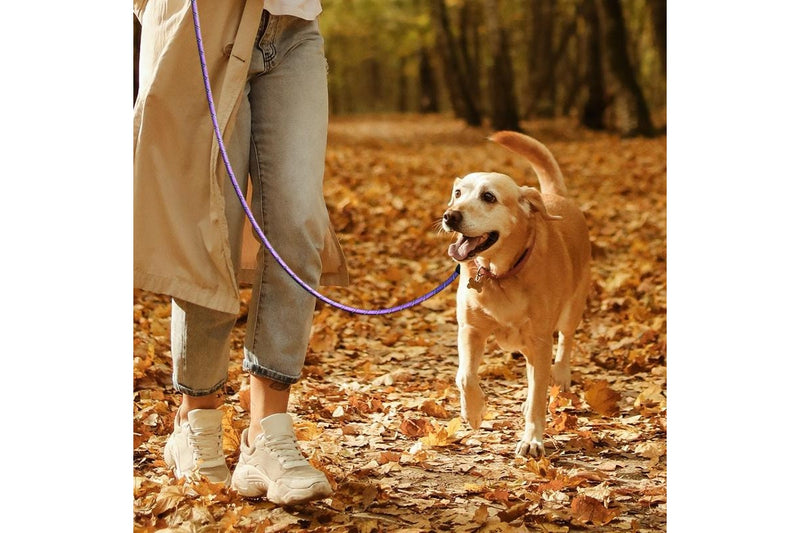 ZOOMIES 1.5M Reflective Threads Dog Leash with Padded Handle - Purple