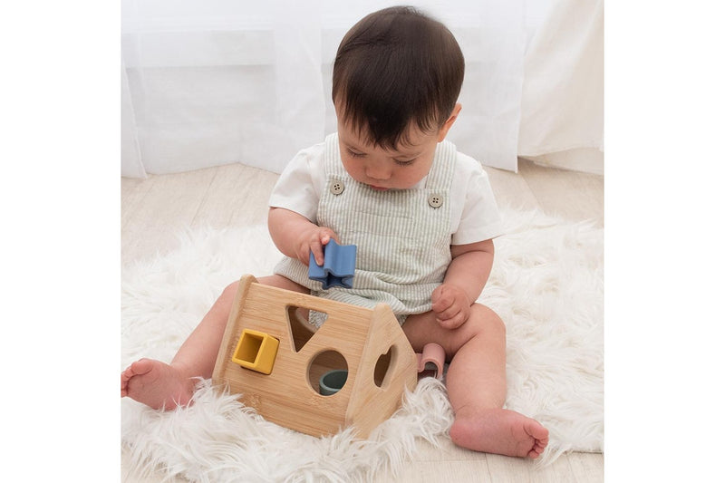 Playground 18cm House Shape Sorter Baby Infant Educational Fun Play Toy 6m+