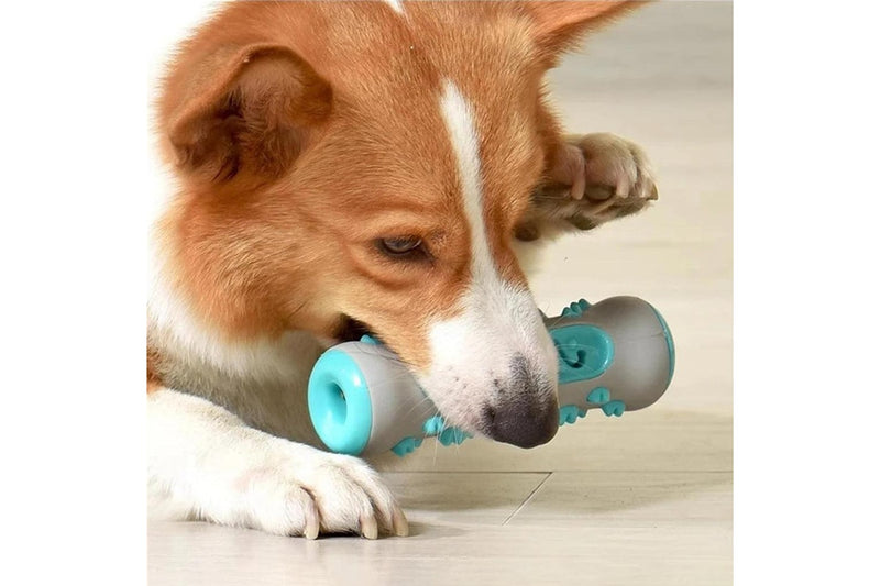 Dog Bone Chew Toy Teeth Cleaning Training Dog Toy Blue