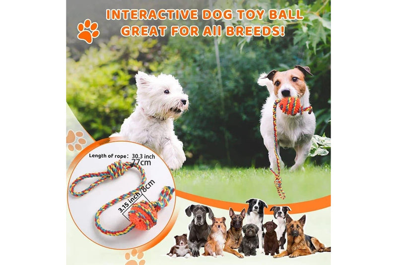 Tough Dog Toys Interactive Chew Toys