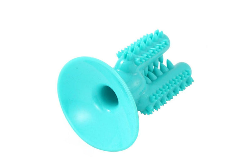 2x Paws & Claws 13cm Cactus Suction Brush Dental Treat Pet Dog Rubber Toy Teal