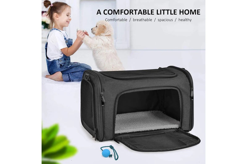 Collapsible Pet Carrier