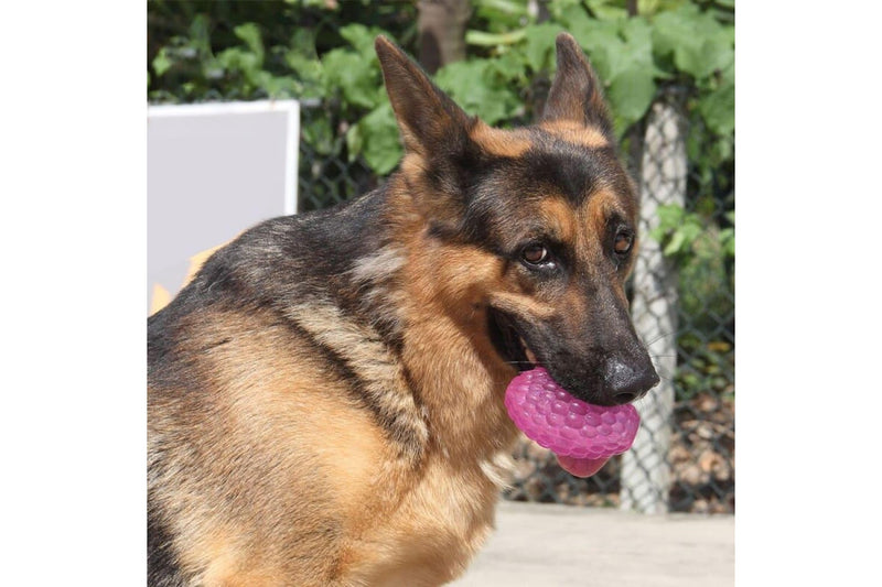 Durable Treat Dispensing Bouncy Pet Chew Ball For Aggressive Chewers Small Medium Large Dogs