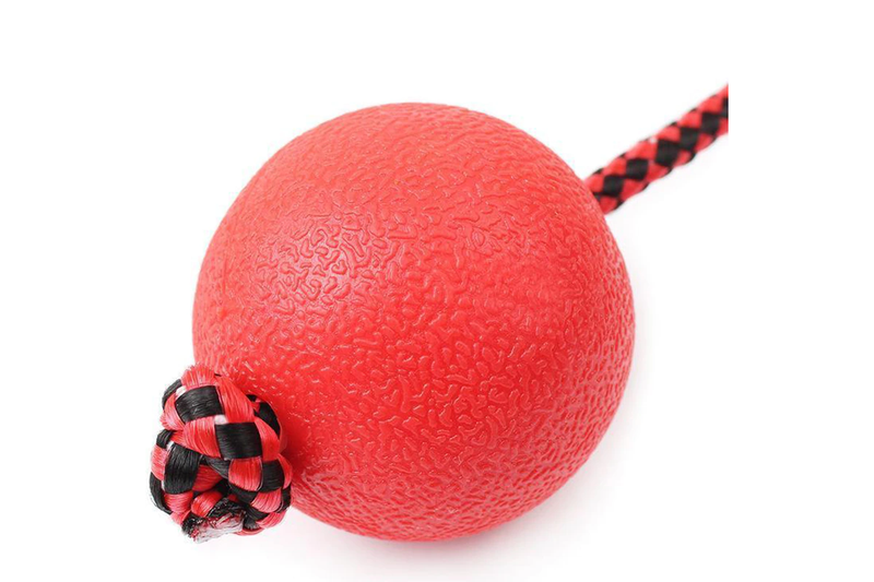 Pet Health Dog Molars Toys With Stretchy Rope Rubber Ball Biting Training - Red