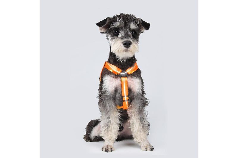 Dog Backpack Harness with D-Ring - Orange