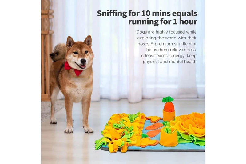 Snuffle Mat Interactive Slow Feeder