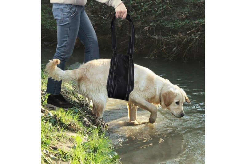 PETSWOL Portable Dog Sling for Back Support