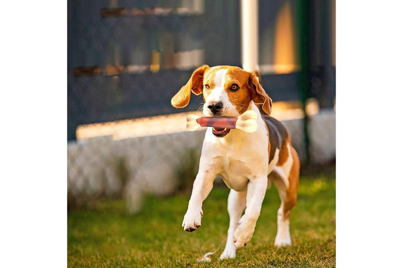 Durable Tooth Cleaning Beef Flavor Dog Chew Bone Toy For Aggressive Chewer For Small Medium Large