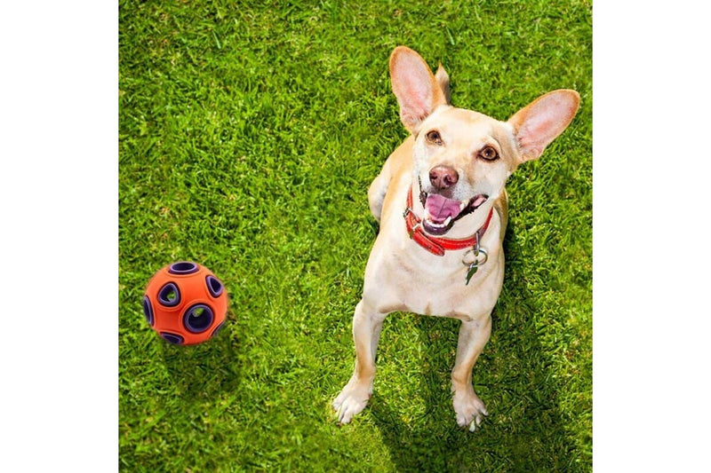 Durable Giggle Bounce Food Dispenser Teeth Cleaning Chew Rubber Ball For Dogs