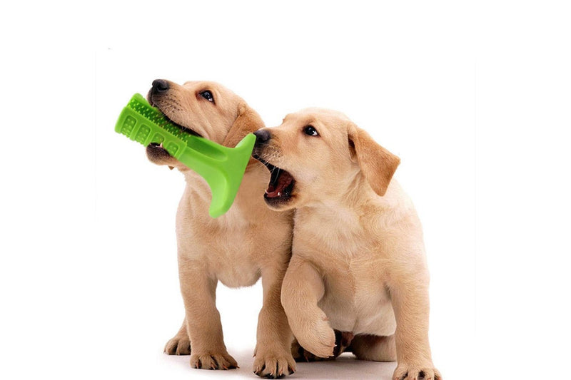 Dog Chew Toy Toothbrush Pet Dog Tooth Cleaning Stick Dental Care